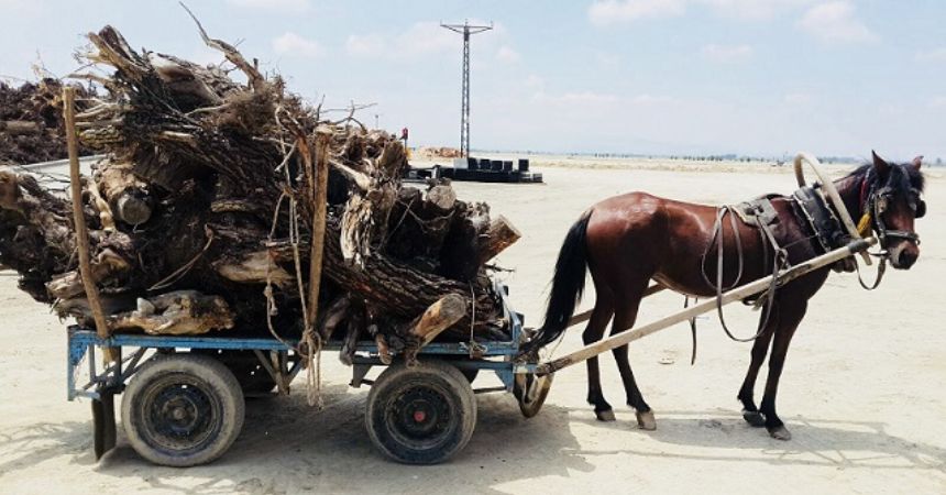 Yenilenebilir enerji yatırımları artıyor Yenilenebilir enerji yatırımları artıyor