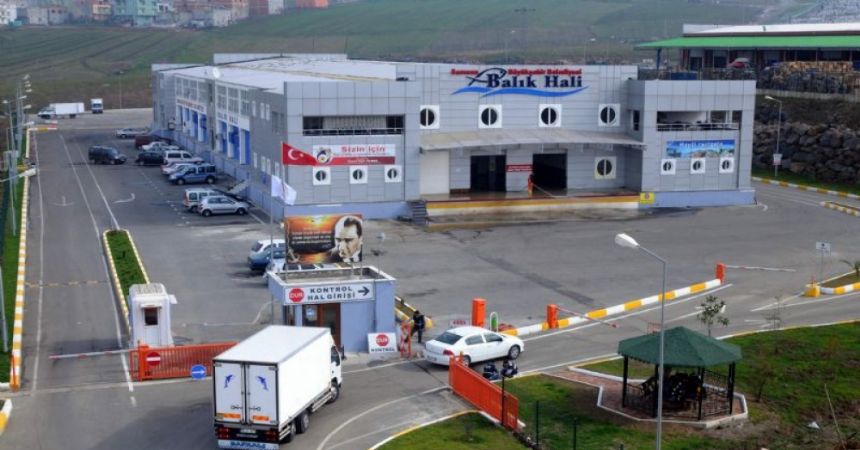 Balık halinin reisi hamsi! Balık halinin reisi hamsi!