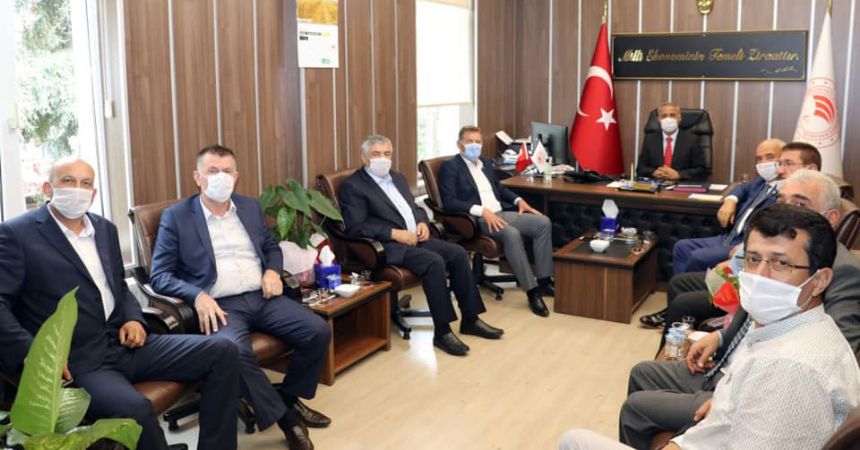 80 bin ton fındık bekleniyor 80 bin ton fındık bekleniyor