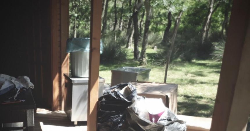 Kuş cennetinde temizlik Kuş cennetinde temizlik