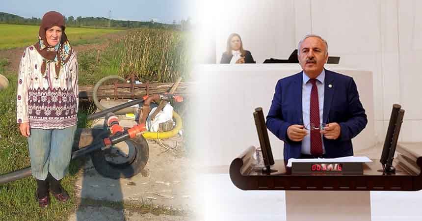 'Hasat döneminde elektriği kesilen çiftçi ne yapacak?' 'Hasat döneminde elektriği kesilen çiftçi ne yapacak?'