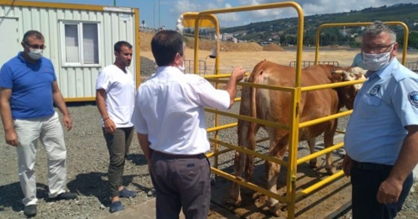 Hayvan pazarlarına denetim Hayvan pazarlarına denetim