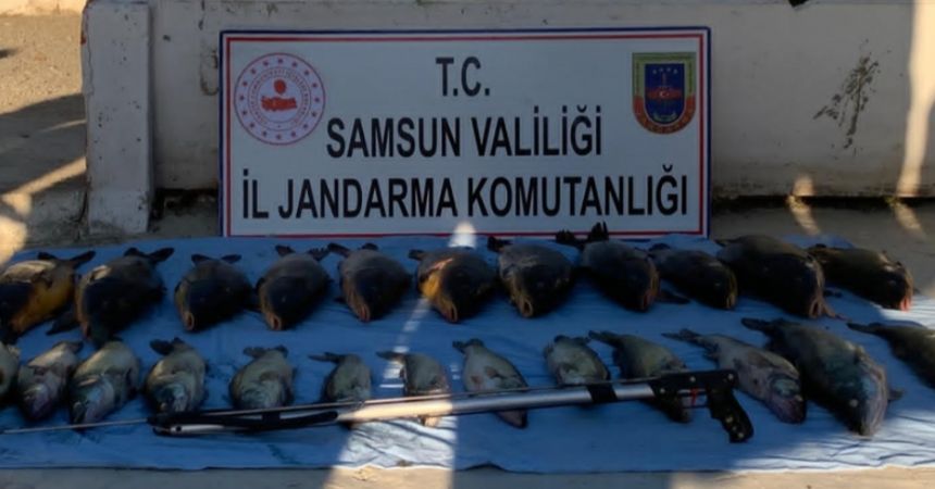 Kaçak avcılara ceza