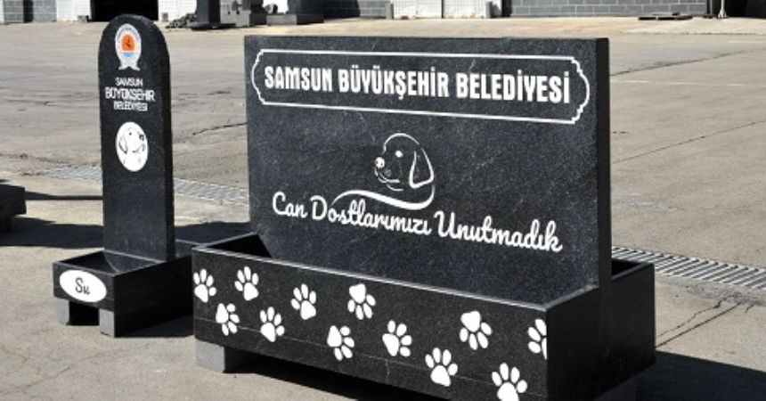 Büyükşehir'den mama ve su kabı