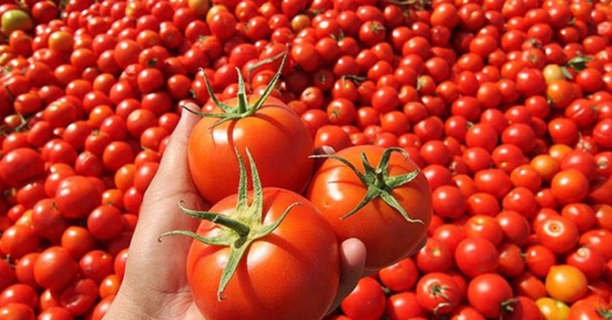 Enflasyon şampiyonu domates Enflasyon şampiyonu domates