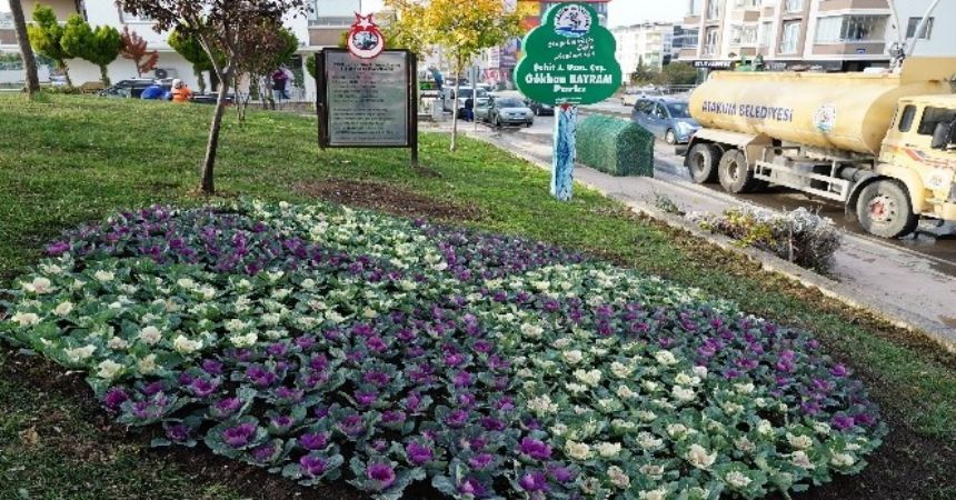 Parklara kış bakımı Parklara kış bakımı