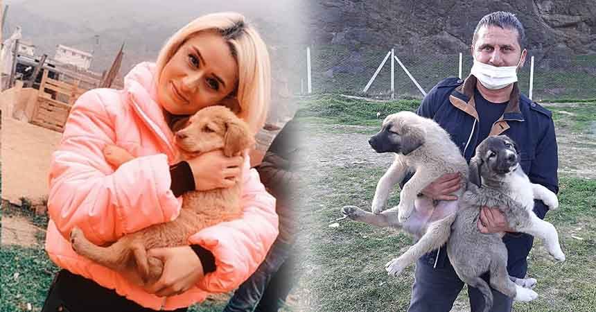 Can dostları sahiplendiriyorlar Can dostları sahiplendiriyorlar
