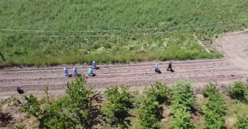 Çeltik tarlasında aşı oldular