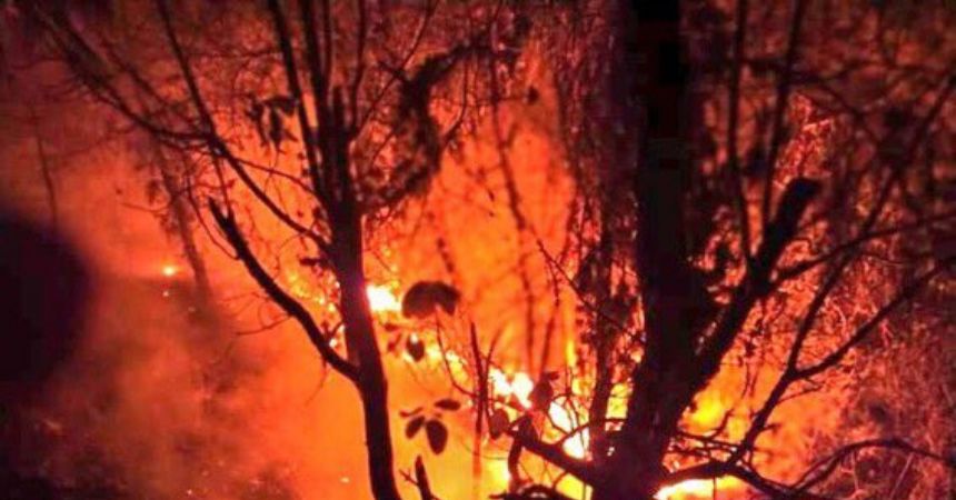 Samsun'da orman yangını