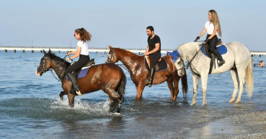 Atların deniz keyfi
