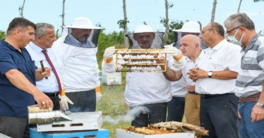 Arıcılığa destek Arıcılığa destek