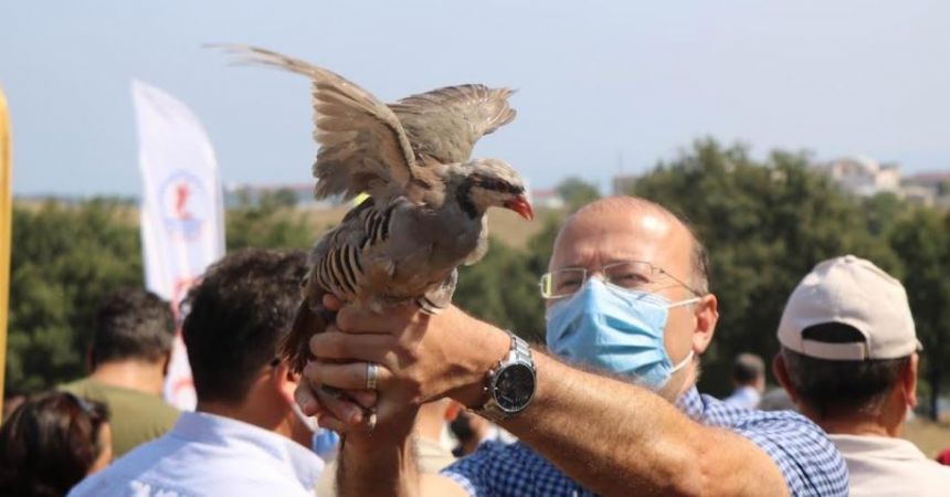 Kampüse Sülün ve Keklik salındı