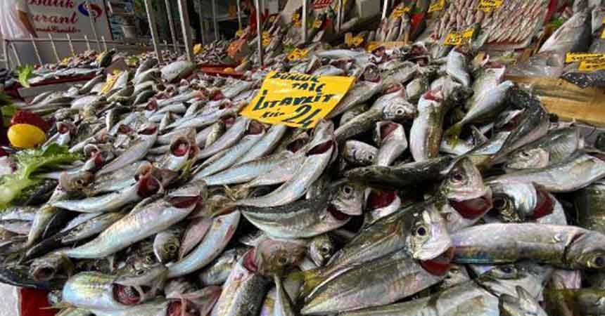 Balık sezonu bereketli başladı Balık sezonu bereketli başladı