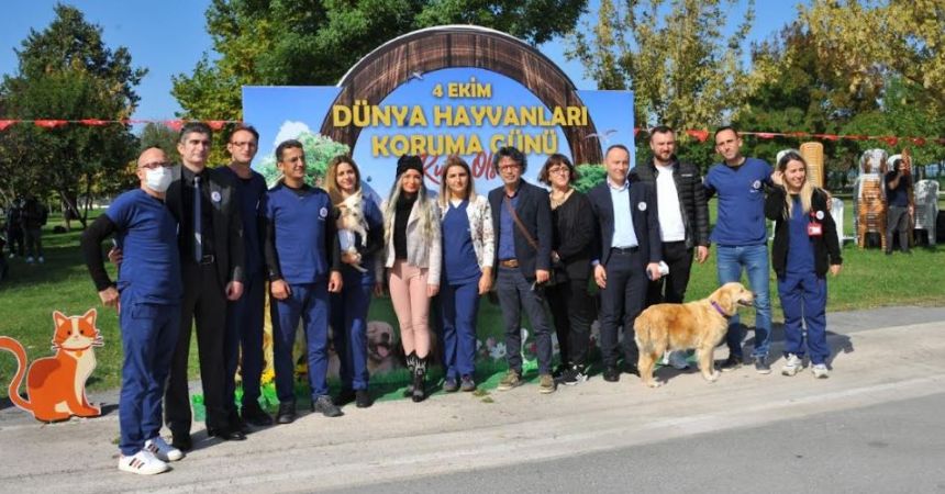 Samsun'da Pati Şenliği