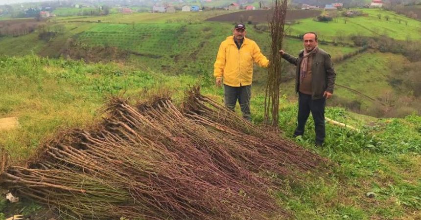 Çiftçiye fide desteği