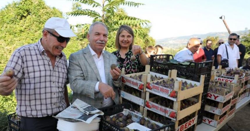 İncir tadında festival