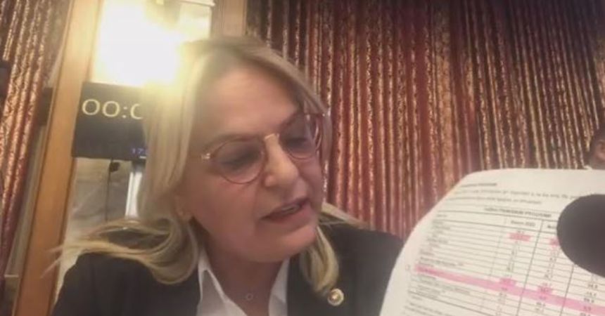 'Seçimi kaybedersek ekonomi batsın diyorlar'