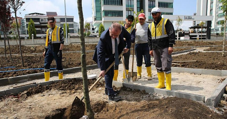 Daha yeşil Samsun
