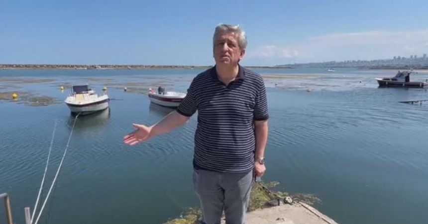 Yosunu gösterip betona razı edecekler