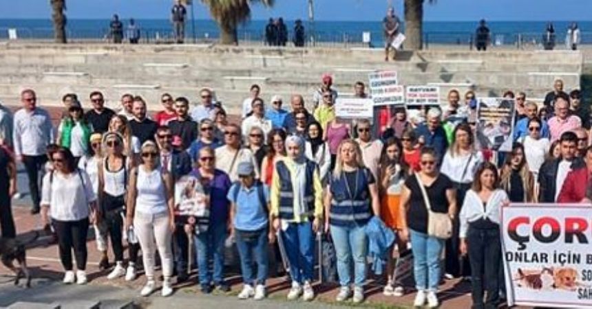 Samsun'da hayvanlar için miting