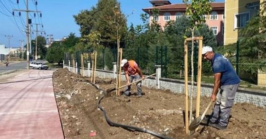 Canik'te parklar yeşillendiriliyor
