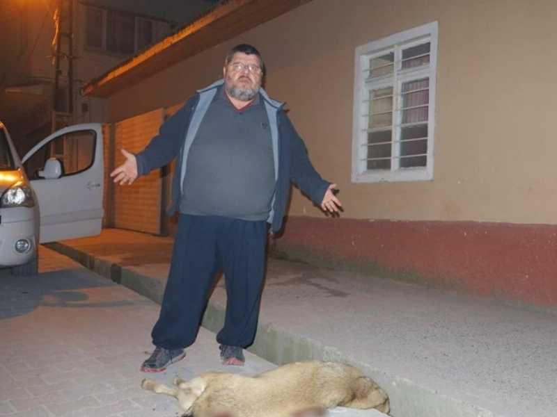 Sokak Köpeklerini Tüfekle Vurdular Sokak Köpeklerini Tüfekle Vurdular