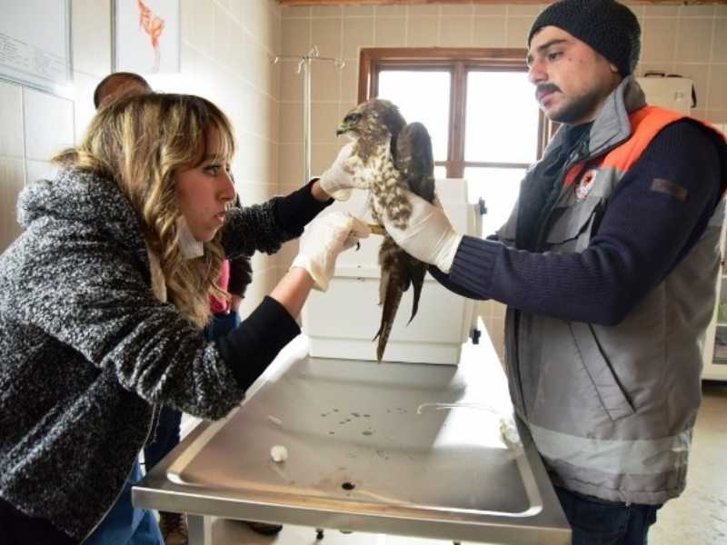 Kuş Cenneti’nde Hasta Kuşlara Özel Bakım Kuş Cenneti’nde Hasta Kuşlara Özel Bakım