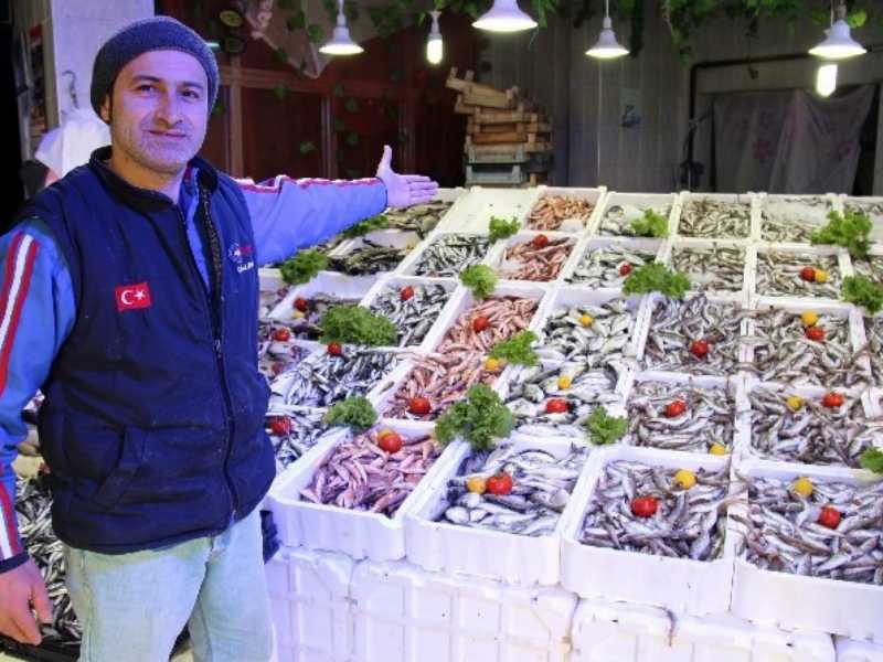 Havalar ısınınca Hamsi Soğuk Sulara Kaçtı Havalar ısınınca Hamsi Soğuk Sulara Kaçtı