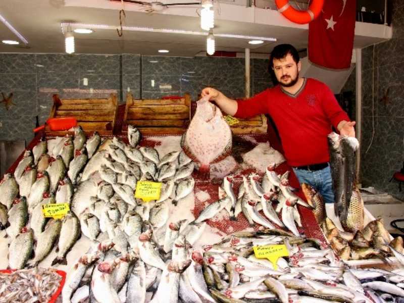 Balık Fiyatları Tavan Yaptı Balık Fiyatları Tavan Yaptı