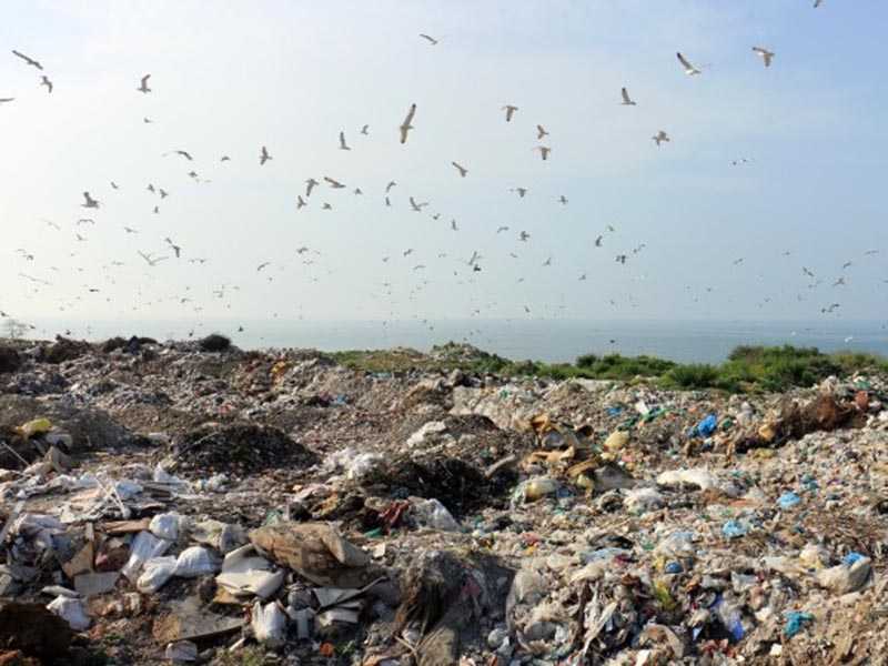 32 Yıllık Çöp Sorunu Tarih Oluyor 32 Yıllık Çöp Sorunu Tarih Oluyor