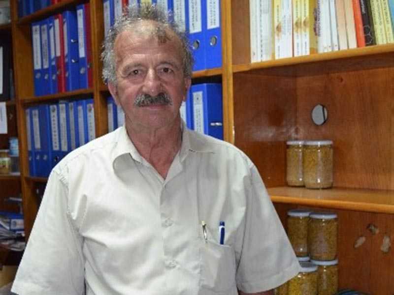 Arıcılar Sıkıntılı Arıcılar Sıkıntılı