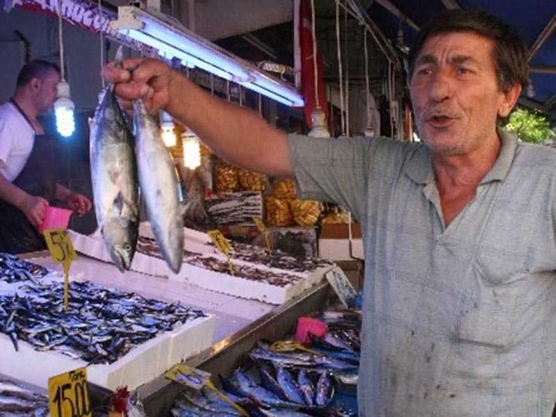 Trabzon'un Balığı Sinop'tan Trabzon'un Balığı Sinop'tan