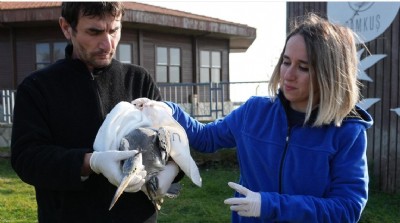 120 Yaban Hayvanına Şifa Oldular