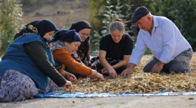 Ladik Fasülyesi İhtiyaç Sahipleriyle Buluştu Ladik Fasülyesi İhtiyaç Sahipleriyle Buluştu