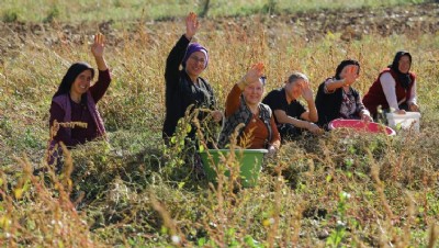 Tarıma Büyük Destek Tarıma Büyük Destek
