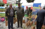 350 bin adet fidan dağıtıldı