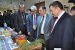 Safran projesi start aldı