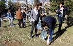 Üniversite öğrencilerinden çevre temizliği