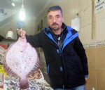 Balık ucuzladı kalkan cep yakıyor!