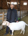 Koyunlarını dolandırıcılara kaptırdı