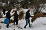 Dünya Yaban Hayatı günü kutlandı