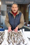 Hamsiyi bırak mezgite bak
