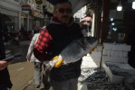 Karadeniz’de levrek bereketi