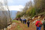 Doğaseverler Ulkaya Şelalesi’ni keşfetti