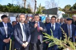 Orman Haftası’nda çam fidanı dağıtıldı