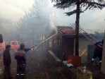 Anız yangını ormanı kül etti