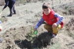 Sungurlu’da minik öğrenciler fidan dikti