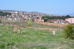 Defineciler Horoztepe Höyüğü’ne dadandı