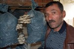 Ek gelir diye başladı, para basıyor