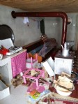 Ayılar kış uykusundan uyandı!